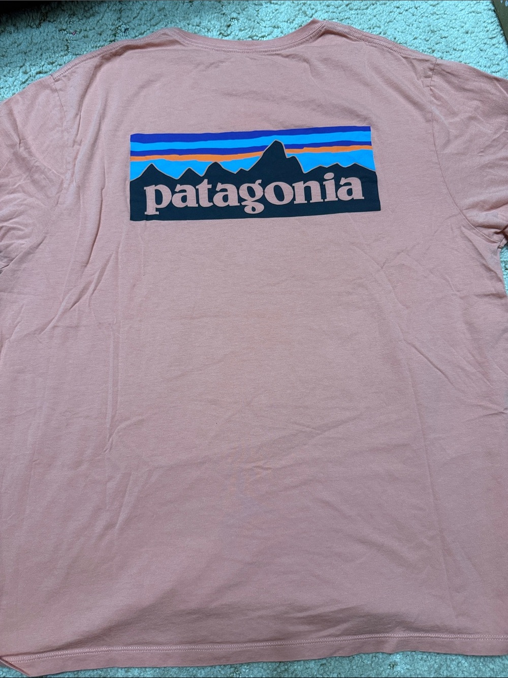 Patagonia Pink Graphic Mountain Logo Tee